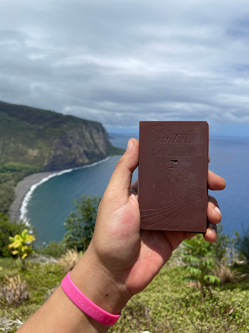 45% Oatmilk Chocolate w/ Waipi'o Vanilla