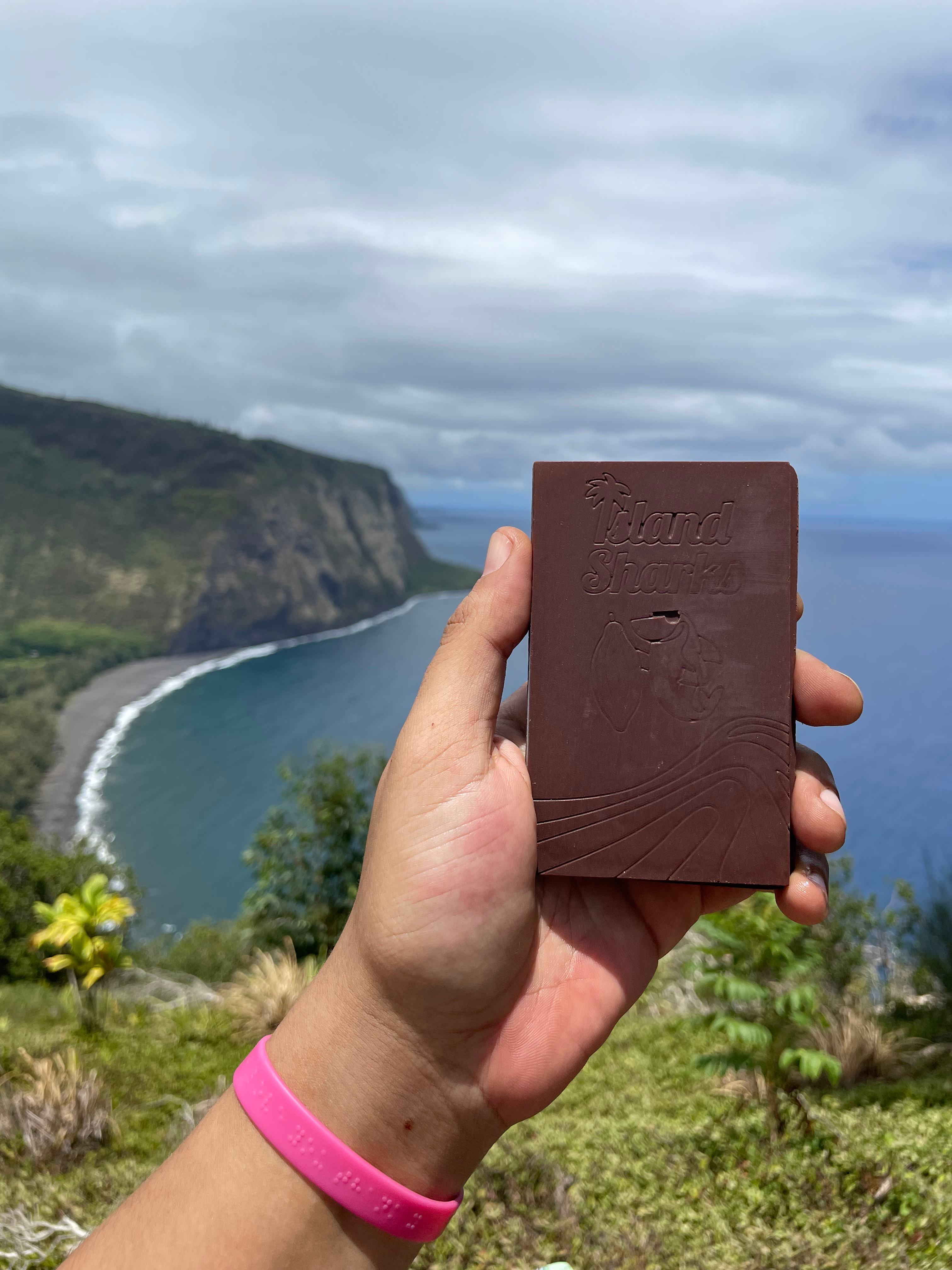 45% Oatmilk Chocolate w/ Waipi'o Vanilla